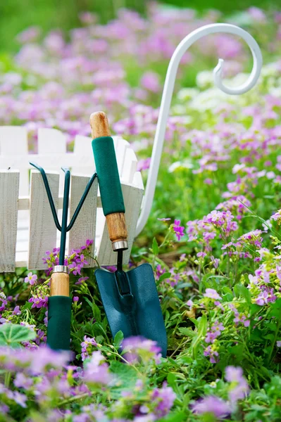 Utensili da giardino sul prato fiorito — Foto Stock