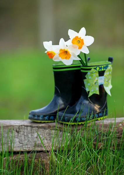 Kid's rain boots and flowers — Stock Photo, Image