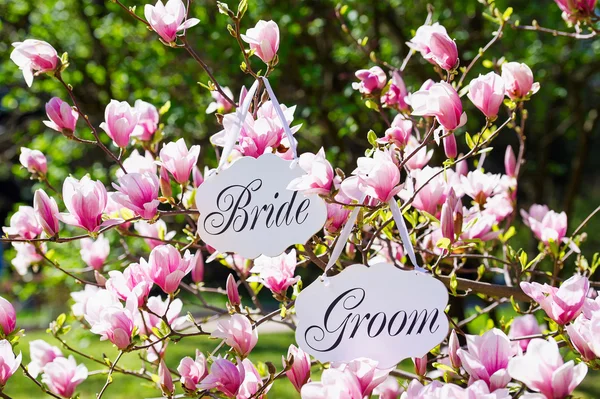 Wedding bride and groom boards outdoors — Stock Photo, Image