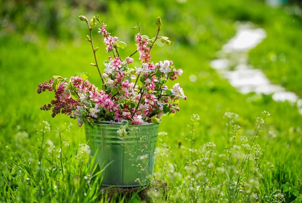 Árboles de primavera floreciendo ramas en el cubo — Foto de Stock