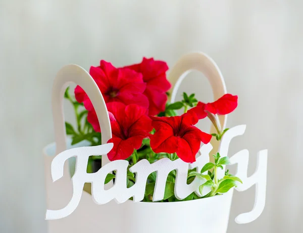 Family decoration word and red flowers — Stock Photo, Image