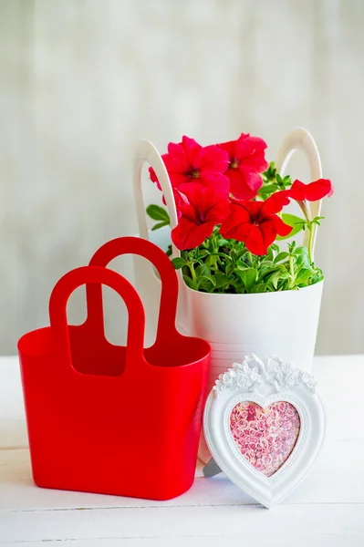 Stilleven met rode petunia — Stockfoto