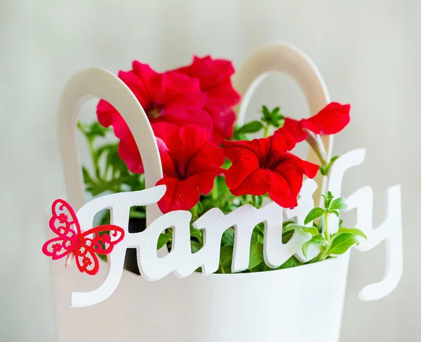 Семейные украшения слово и красные цветы — стоковое фото