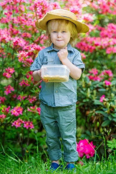 Smiling kid in spring blossoms — Stock Photo, Image