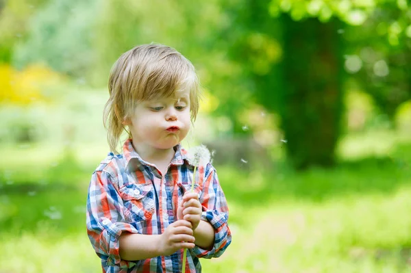 Leuke jongen en een paardebloem — Stockfoto