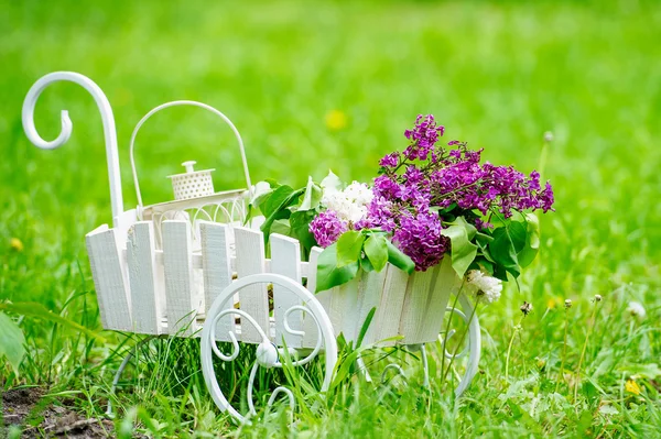 Outdoors still life with lilac — Stock Photo, Image