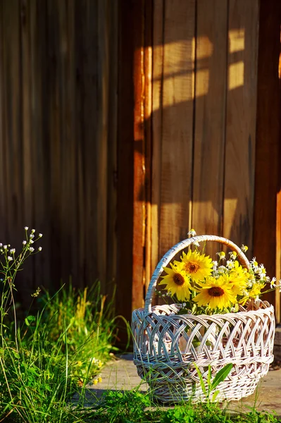 Girasoles en cesta — Foto de Stock