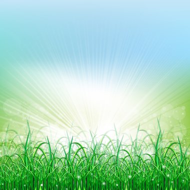 güzel yeşil alan ile bulanıklık cennet ve gündoğumu