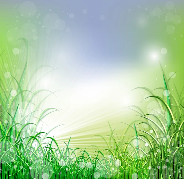 Piękne zielone pole z nieba rozmycie i wschód — Zdjęcie stockowe