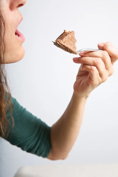 Bereit, Schokoladenkuchenstück zu essen — Stockfoto