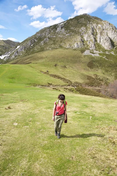 Walking up on meadow at Picos de Europa — Stock Photo, Image