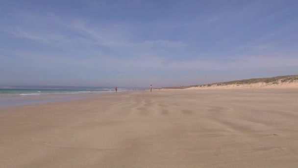 Bikini mujer en la playa viene corriendo — Vídeo de stock