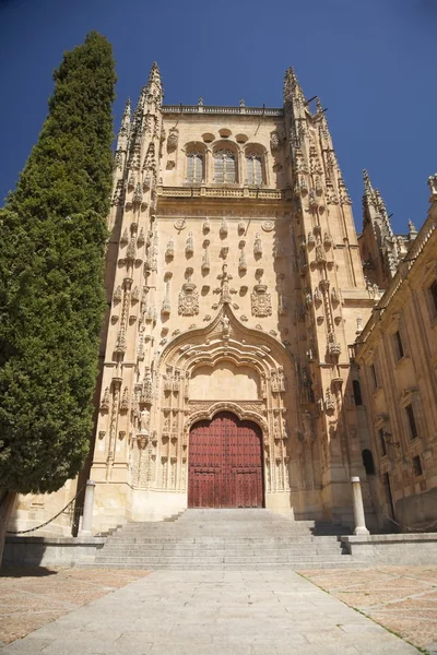 Side door of Salamanca cathedral — Stock Photo, Image