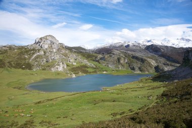 asturias gölde ercina