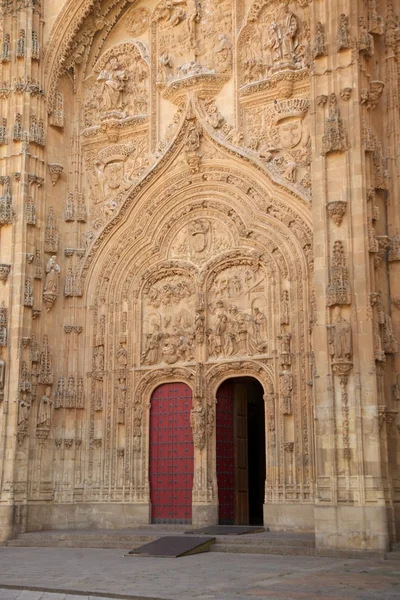 Great door of Salamanca cathedral — Stock Photo, Image