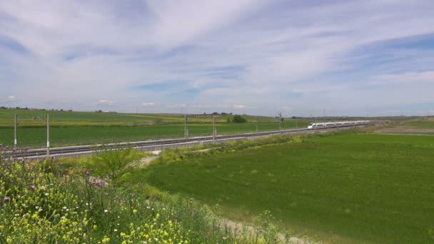 Paisagem com trem de alta velocidade — Vídeo de Stock