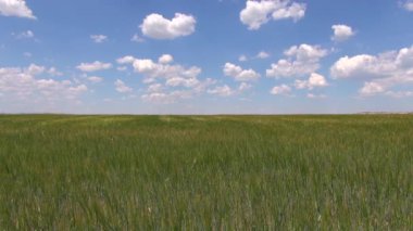 hızlı yeşil alan mavi gökyüzü