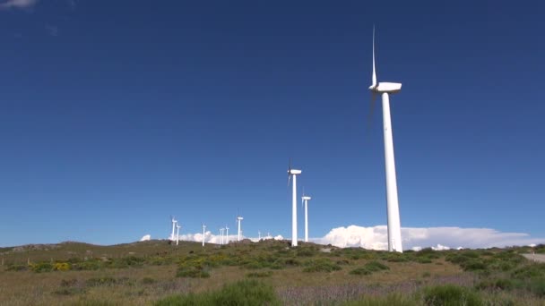 Bílé turbíny na zelené louce — Stock video