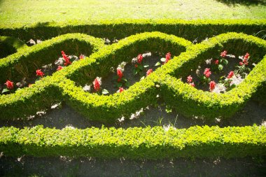 yeşil tasarım çalı