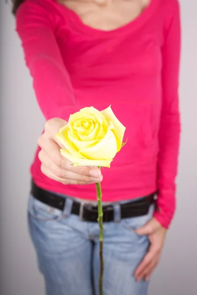 Offering yellow flower — Stock Photo, Image