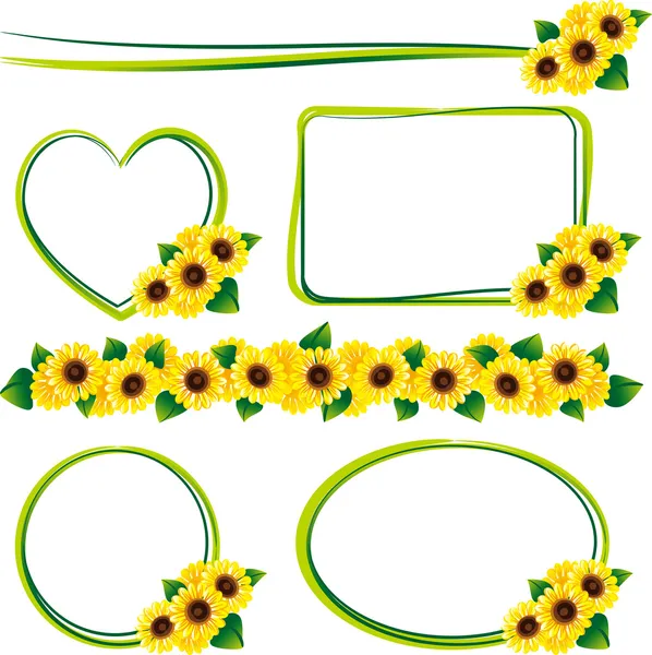 Frame of the sunflower — Stock Vector