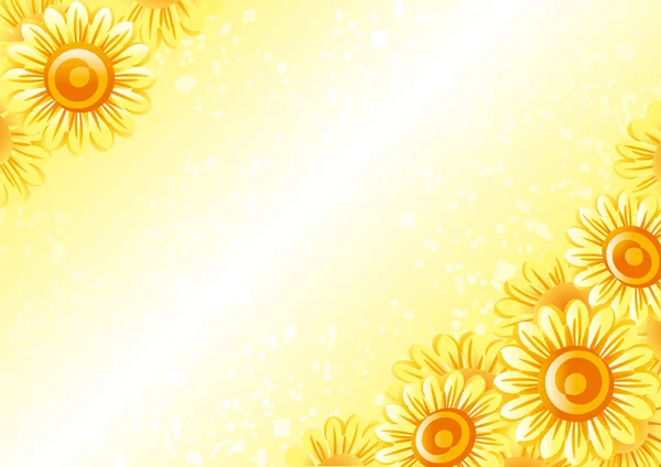 Ayçiçeği çerçeve