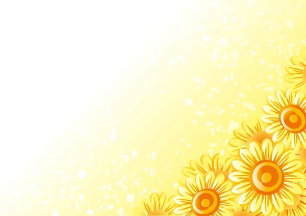 Ayçiçeği çerçeve