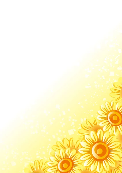 Ayçiçeği çerçeve