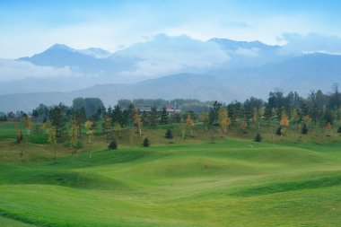 Golf Sahası