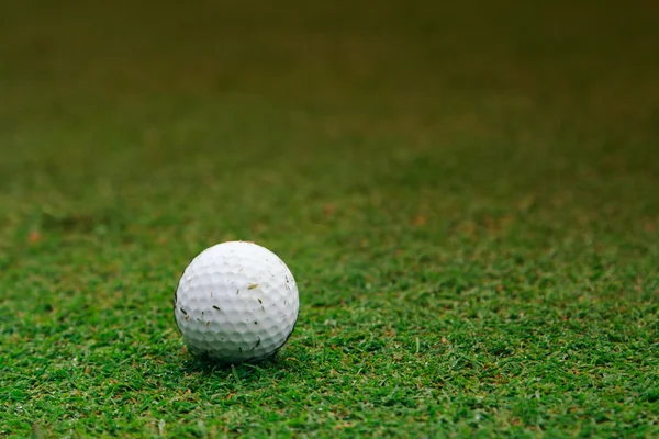 Bola de golfe na grama — Fotografia de Stock