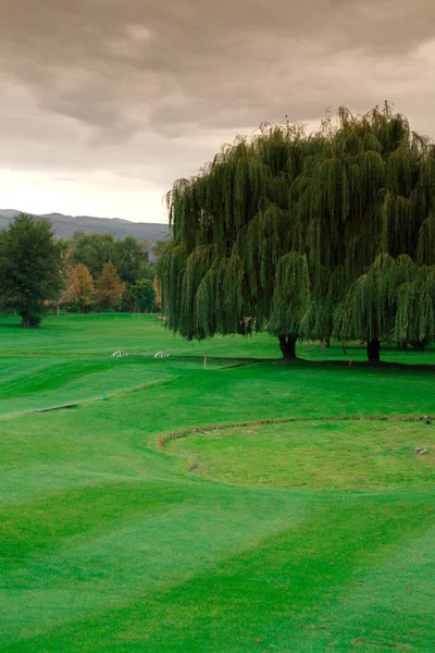 Golf łąka — Zdjęcie stockowe