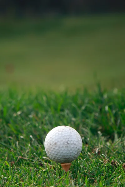 Golfboll på gräset — Stockfoto