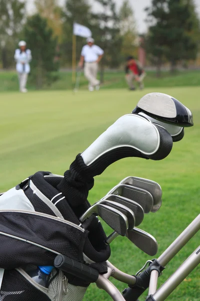 Un conjunto de nuevos palos de golf en un hermoso campo de golf — Foto de Stock
