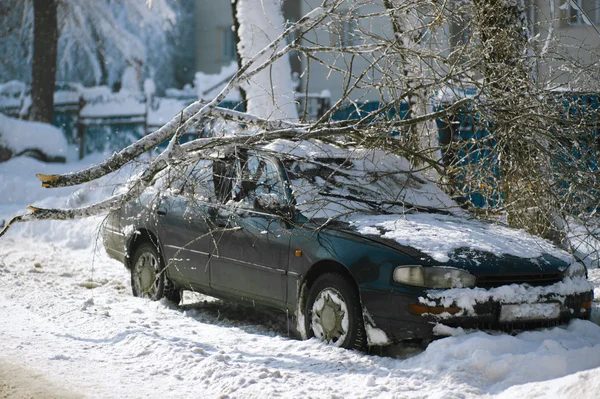 Téli vihar temeti a utca mentén parkoló autók — Stock Fotó