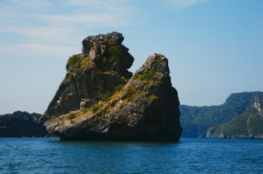 maymun adası benziyor.