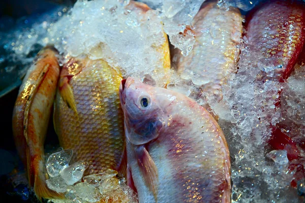 Bunch of raw frozen fish on ice. Thai sea food.