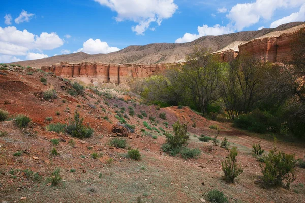 Charyn grand canyon v Kazachstánu — Stock fotografie