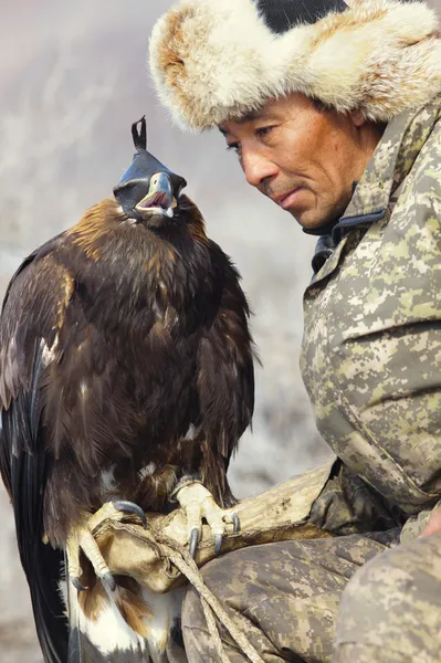 NURA, KAZAKHSTAN - FEBRUARY 23: Eagle on man's hand in Nura near — Stock Photo, Image