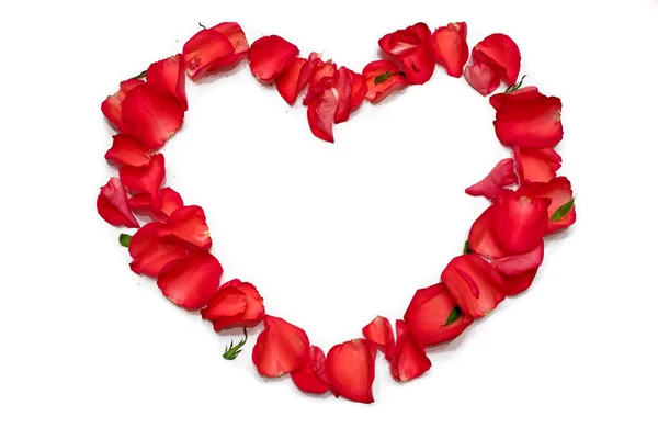 Heart shape from rose petals — Stock Photo, Image