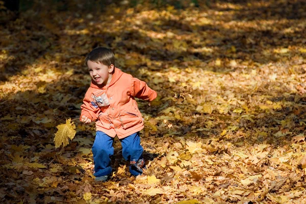 Kid playing on autumnal park — Stock Photo, Image