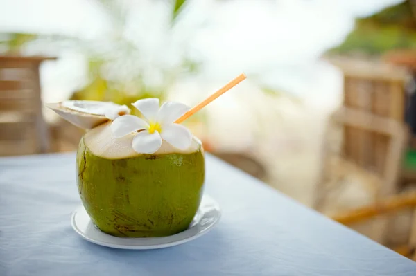 Coconut, beach cafe, plumeria on table with blurry background — Stock Photo, Image