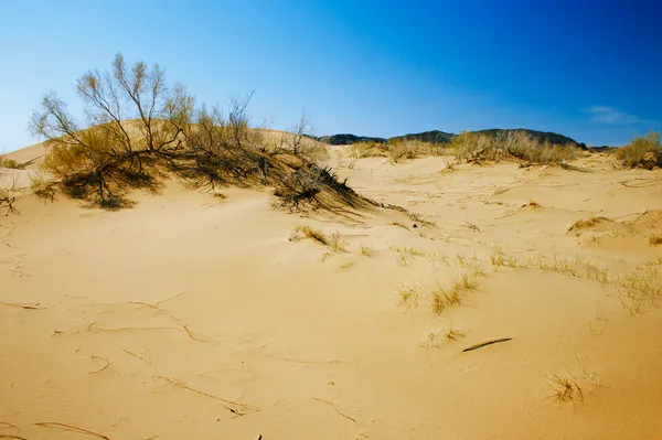 Sanddynor i öknen nationalpark altyn-emel, Kazakstan. blå — Stockfoto