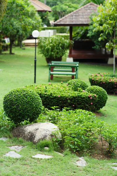 Verde exuberante, jardinería, paisajismo, decoración y diseño del parque — Foto de Stock