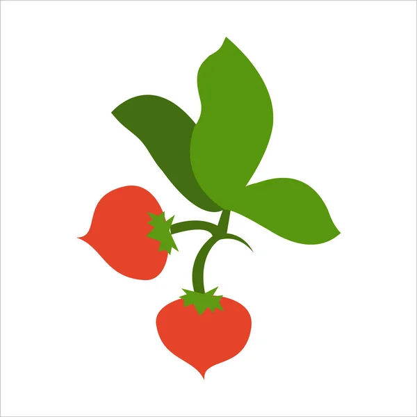 Rotes Vektorbild Gibt Zwei Tomaten Mit Einem Blatt Symbol — Stockvektor