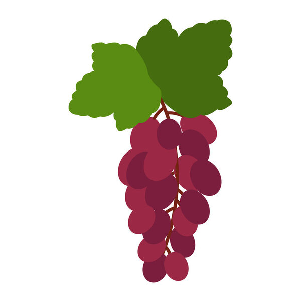 Design of a grape in flat style, vector image, illustration design