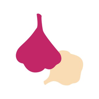 Beyaz arkaplan vektör görüntüsünde soğan ve sarımsak izole edildi