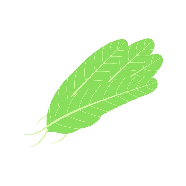 Salladsingredienser Uppsättning Bladgrönsaker Vektor Platt Ikoner Ekologisk Och Vegetarisk Illustration — Stock vektor