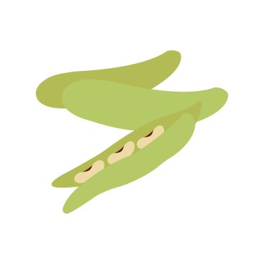 yeşil sebze geniş fasulye vektör çizimi