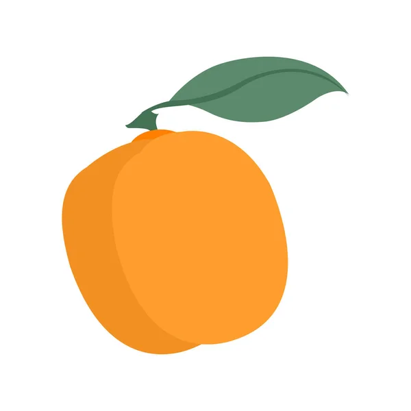 Icono Fruta Naranja Ilustración Plana Del Icono Del Vector Fruta — Vector de stock