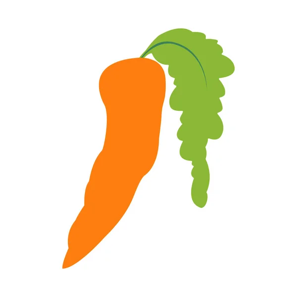 Свежий Морковный Вектор Плоской Иллюстрацией — стоковый вектор